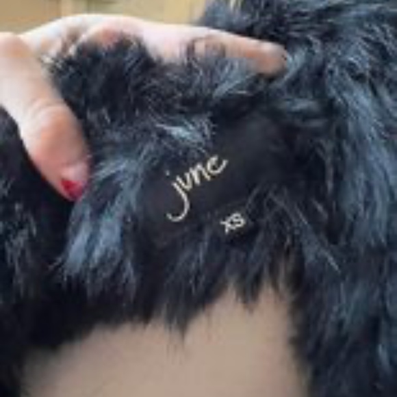 JUNE Fur and Leather Jacket - Picture 2 of 4